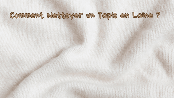 Comment Nettoyer un Tapis en Laine