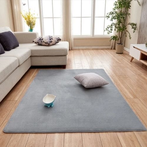 Tapis de Salon | Uni Moderne Poil Ras - Tapinna®
