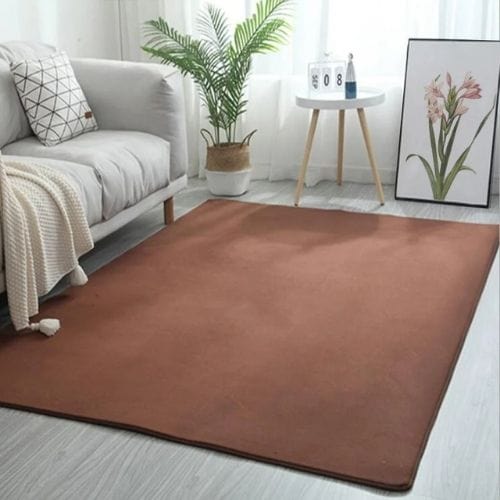 Tapis de Salon | Uni Moderne Poil Ras - Tapinna® Marron / Rectangulaire / 40x60cm (15.7x23.6 Pouces)