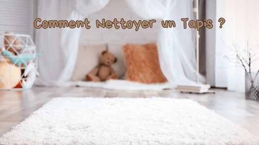 Comment Nettoyer un Tapis