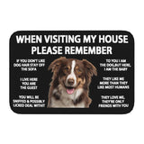 Tapis Entrée Humour Règles de la Maison Chien Imprimé TPE 24