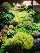 Kit DIY Tapis Mousse Naturelle Verte 3D Fait Main Décoration 2