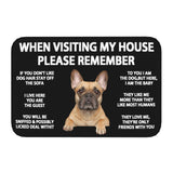 Tapis Entrée Humour Règles de la Maison Chien Imprimé TPE 14