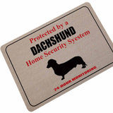 Paillasson Caoutchouc Motifs Chats Humoristiques – Entrée & Porte 3