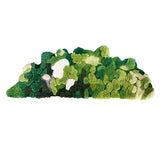 Tapis Rond Nature – Motif Mousse Forêt & Fleurs Sauvages Vert | Salon Chambre 8