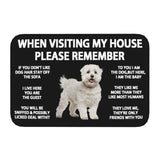 Tapis Entrée Humour Règles de la Maison Chien Imprimé TPE 19