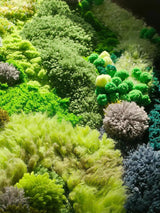 Kit DIY Tapis Mousse Naturelle Verte 3D Fait Main Décoration 9