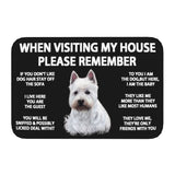 Tapis Entrée Humour Règles de la Maison Chien Imprimé TPE 14