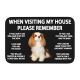 Tapis Entrée Humour Règles de la Maison Chien Imprimé TPE 23