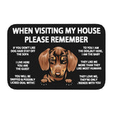 Tapis Entrée Humour Règles de la Maison Chien Imprimé TPE 12