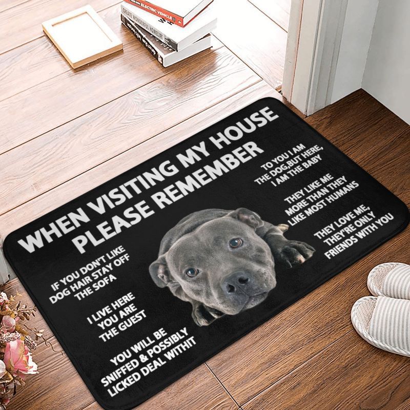 Tapis Entrée Humour Règles de la Maison Chien Imprimé TPE — Tapinna®