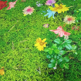 Tapis Runner 3D Imprimé Motif Floral – Couloir & Escalier 4