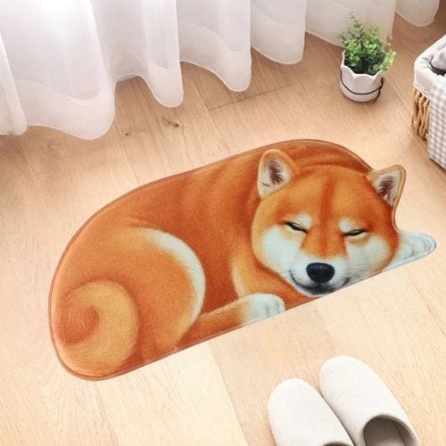 Tapis d'Entrée/Paillasson | 3D Moderne Kilim Persan - Tapinna® Orange / Animal / 40x87cm