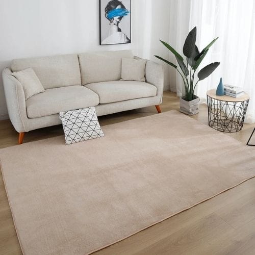 Tapis de Salon | Moderne Uni Poil Ras - Tapinna® Beige / Rectangulaire / 40x60cm (15x23 Pouces)