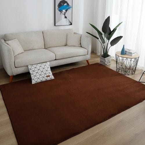 Tapis de Salon | Moderne Uni Poil Ras - Tapinna® Marron / Rectangulaire / 40x60cm (15x23 Pouces)
